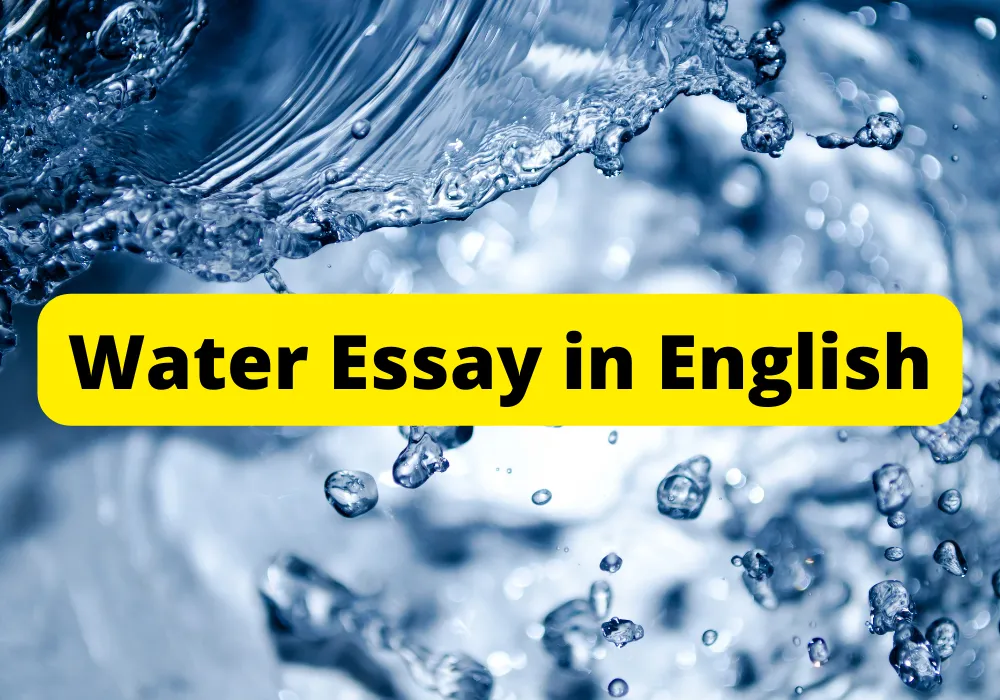 Water-Essay-in-English