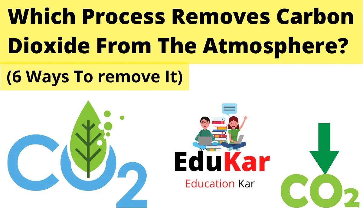 Which Process Removes Carbon Dioxide From The Atmosphere