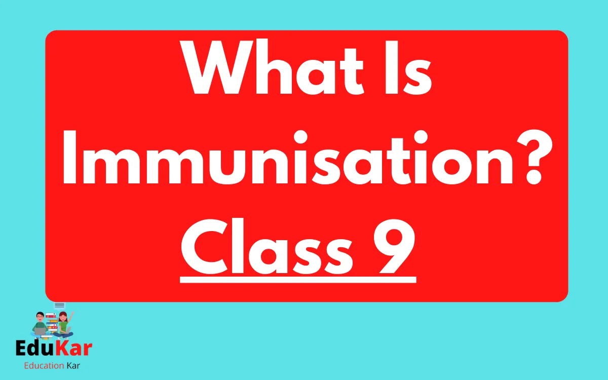 What Is Immunisation Class 9