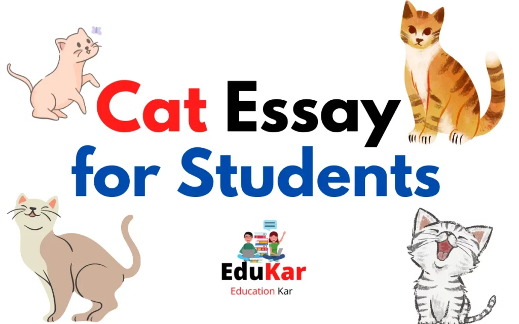 Cat Essay