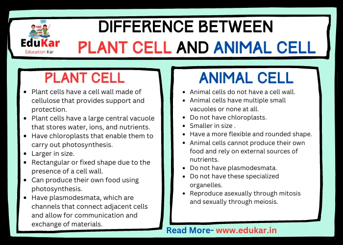 Difference between Plant Cell and Animal Cell